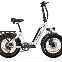 HKM-2439763 20 mph 250 W Electric Fat Tire City Bike, 48 V 13 Ah 624 Wh Battery, 7-Speed Shimano, Chaoyang 20 x 4.0 in Tires