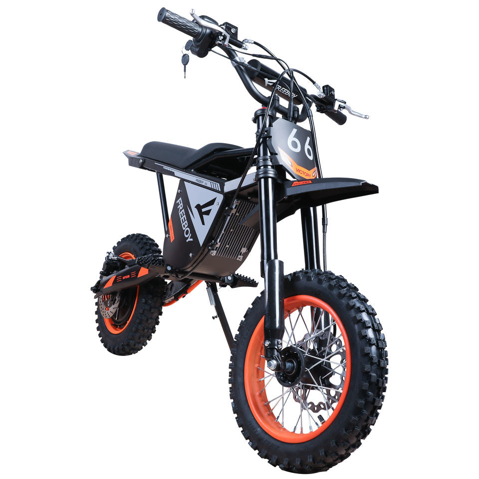 Mountain Electric Bike 3000W 48V 30Ah