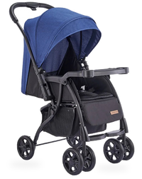 HKM-567251 Foldable Baby Buggy with Iron Frame and 3-Point Safety Harness for Travel Convenience