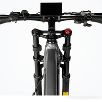 HKM-3586643 26 in x 4.0 Fat Tire Full Suspension Electric Mountain Bike, 2000 W Dual Hub Motor, 48 V 20 Ah Removable Battery