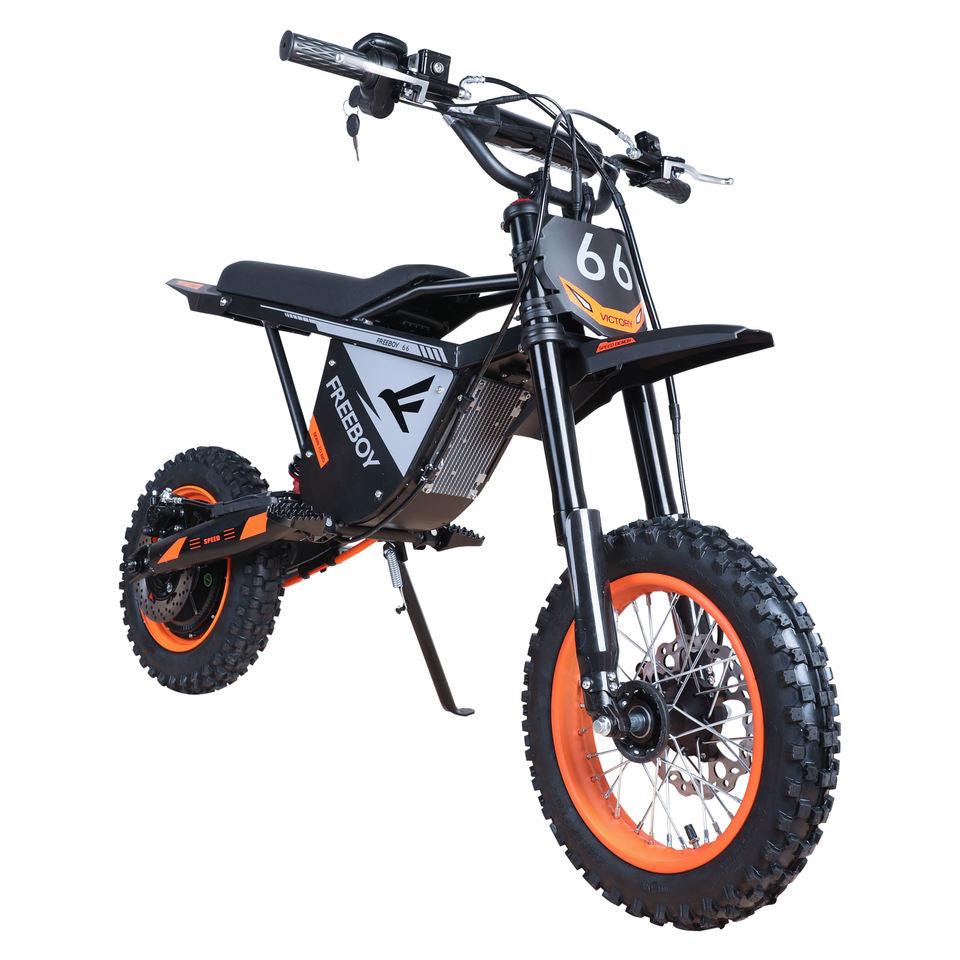 Mountain Electric Bike 3000W 48V 30Ah