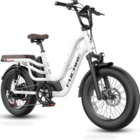 HKM-9851091 28 mph Step-Through Electric Bike, 750W Rear Hub Motor with 1200W Peak, 48V 20Ah 960Wh Battery, 7-Speed Shimano