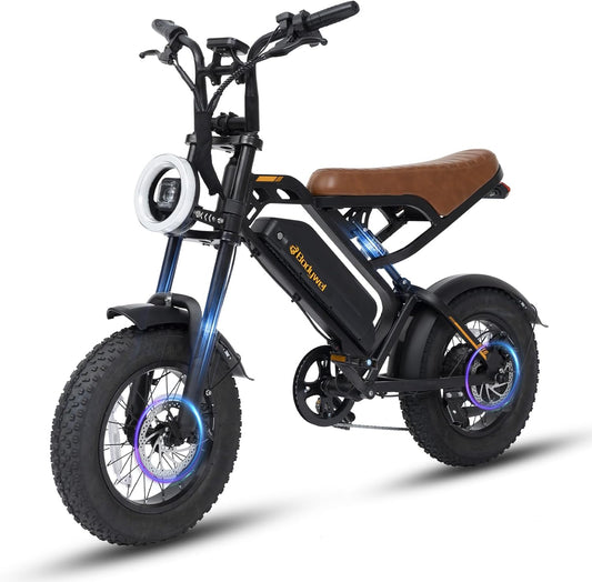 Bodywel M16 E Bike Men Women 16 x 4.0 Inch All Terrain E Fatbike City & Mountain, 48 V 13 Ah Battery, 250 W Motor, Range 30-60 km (PAS), LCD Display, Dual Lights, Full Suspension Electric Bicycle