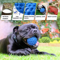 HKM-618451 Durable Interactive Waterproof Dog Chew Toy with Squeaker and Teeth Cleaning Features for Heavy Chewers