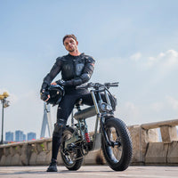 Hot High Quality E Bike China Manufacturer Customized 10Ah/20Ah Electric Bike 48V 250W/500W/1000W Electric Bicycle Mountain Bike