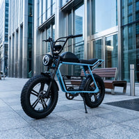 HKM-8448851 Electric Bike 1000W Motor 48V 16Ah Battery 34 Mile Range 20-Inch Fat Tires Hydraulic Brakes 7-Speed Foldable