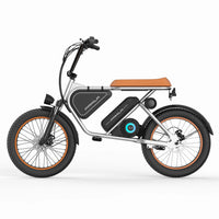 HKM-1201363 Adult Electric Bicycle Powered by 250W Motor, 20 MPH Top Speed, 48V System and 48V 15.6Ah Battery for Daily Commuting