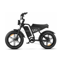 14 Inch Fat Tire Electric Bike 48V 500W Snow Beach Adult Ebike