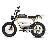 HKM-8448851 Adult Electric Bicycle Powered by 1000W Motor, 20 MPH Top Speed, 48V System and 48V 16.0Ah Battery for Daily Commuting