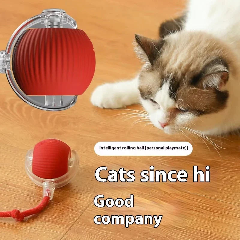HKM-455763 Interactive Electric Cat Toy Ball with Speedy Tail Movement for Engaging Playtime