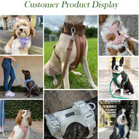 HKM-406035 Custom Neoprene Cat and Dog Collar Harness Leash Set in Luxury PVC - Hands-Free Design