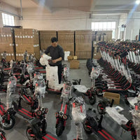 Pulse GO MF81 XLP Q12 500W Foldable Electric Scooter for Adults Fashionable Purple/Pink E-Scooter with 10 Inch Vacuum Tires