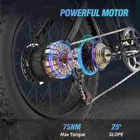 HKM-9497427 Electric Bike 750W Motor 48V 15Ah Battery 31 Mile Range 20-Inch Fat Tires Full Suspension 7-Speed Disc Brakes