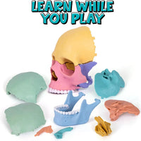 HKM-379027 3D Anatomy Puzzle Toy - Human Skull Model with 10 Educational Cards for Kids