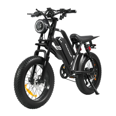 Enduro 20 Inch 1500W Ebike Adult Full Suspension E Fat Tire Mountain Bike Men's Electric Mtb Dirt Pit Bicycle US Warehouse