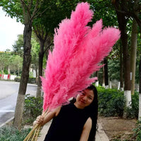 Wholesale Pampas Dried Natural Faux Tall Pampas Grass White for Wedding