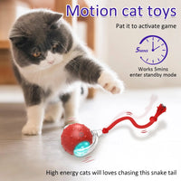 HKM-489683 Interactive Fast-Rolling Cat Toy Ball with Motion Activation and Chirping Sounds for Indoor Cats