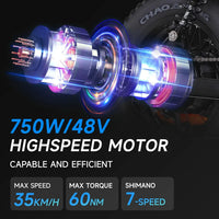 HKM-775379 Adult: 750W Motor, 20 MPH Top Speed, 48V System and 48V 15.0Ah Battery Electric Bicycle for Daily Commuting