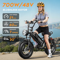 HKM-3658963 Adult Electric Bicycle Powered by 750W Motor, 20 MPH Top Speed, 48V System and 48V 15.0Ah Battery for Daily Commuting
