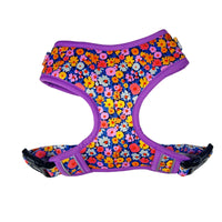 HKM-209427 Neoprene Customisable Cat and Dog Harness Set