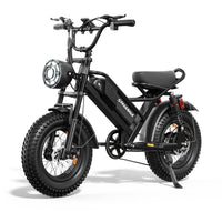 HKM-9432019 Adult Electric Bicycle Powered by 750W Motor, 20 MPH Top Speed, 48V System and 48V 15.0Ah Battery for Daily Commuting