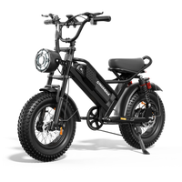 HKM-9432019 Adult Electric Bicycle Powered by 750W Motor, 20 MPH Top Speed, 48V System and 48V 15.0Ah Battery for Daily Commuting