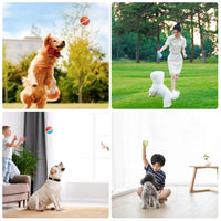 HKM-192467 Interactive USB Rechargeable TPU Pet Dog Chew Toy Ball