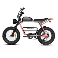 HKM-8448851 Electric Bike 1000W Motor 48V 16Ah Battery 34 Mile Range 20-Inch Fat Tires Hydraulic Brakes 7-Speed Foldable