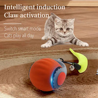 HKM-160851 Interactive Rolling Silicone Dog and Cat Toy with Bell and Tail