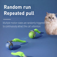 HKM-029779 Automatic Electric Pet Toy Ball with Tail for Cats and Dogs