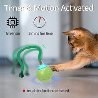 HKM-325843 Automatic Interactive Cat Toy Ball with Fast Rolling and Chirping for Indoor Play