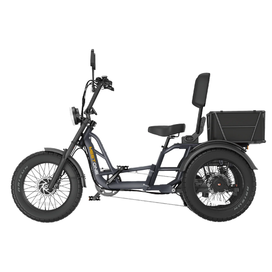 Fat Tire Two 750W Motors and Two 48V 50Ah Batteries 3 Wheel Electric Bike Long Travel Aluminum Alloy Frame