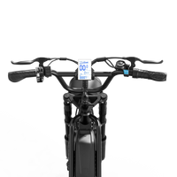 HKM-9432019 Adult Electric Bicycle Powered by 750W Motor, 20 MPH Top Speed, 48V System and 48V 15.0Ah Battery for Daily Commuting