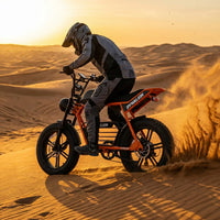 HKM-8448851 Adult Electric Bicycle Powered by 1000W Motor, 20 MPH Top Speed, 48V System and 48V 16.0Ah Battery for Daily Commuting
