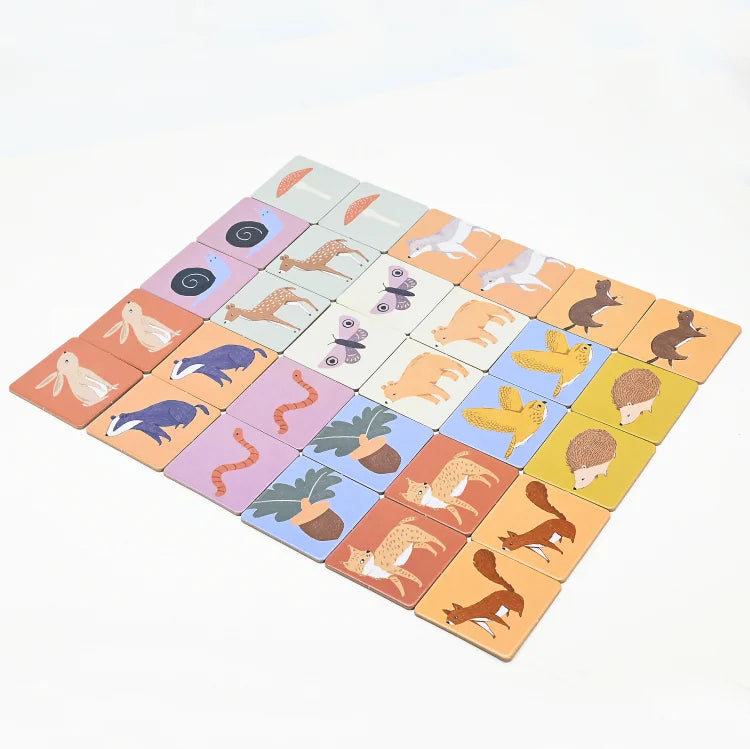 KTX-621523 Educational Flashcards for Kids - Sight Words & Memory Learning Cards