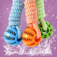 HKM-716755 Durable Interactive Squeaky Dog Toys with Custom Logo – Dumbbell Rope Chew Accessories
