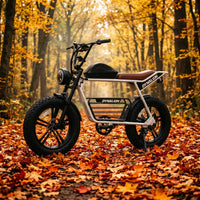 HKM-8448851 Adult Electric Bicycle Powered by 1000W Motor, 20 MPH Top Speed, 48V System and 48V 16.0Ah Battery for Daily Commuting