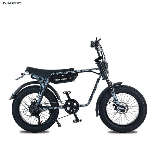 High Power 750W 48V Lithium Electric Bicycle High Quality Fork Steel Frame Integrated Rear Hub Motor Waterproof