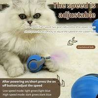 HKM-865939 Interactive Rechargeable Rolling Cat Toy Ball with Adjustable Speed for Smart Pet Training