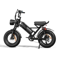 HKM-9432019 Adult Electric Bicycle Powered by 750W Motor, 20 MPH Top Speed, 48V System and 48V 15.0Ah Battery for Daily Commuting