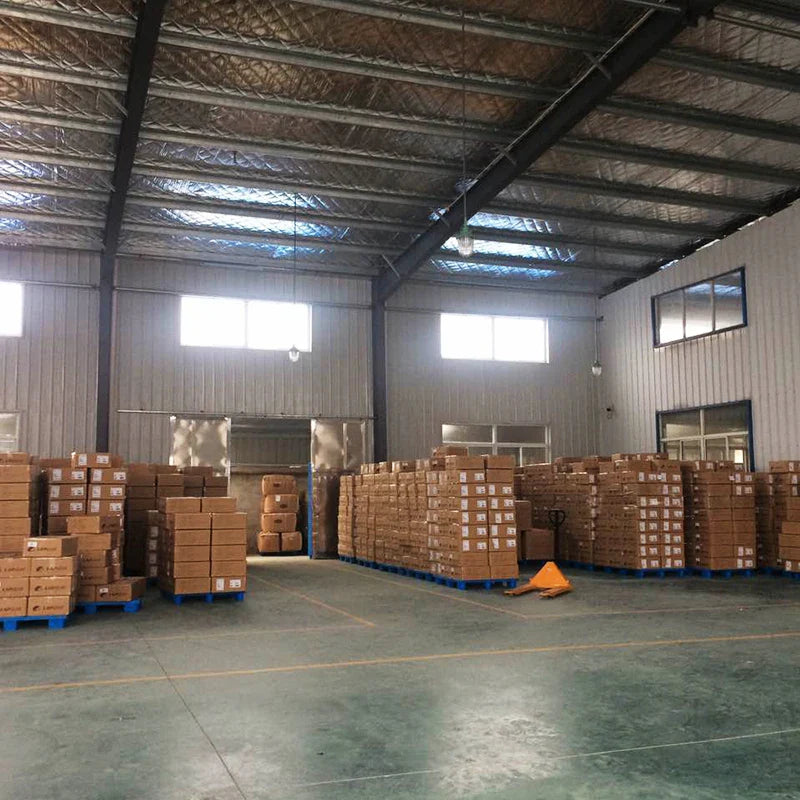 KTX-916755 Doctor Teddy Bear Plush Toy - Soft Stuffed Animal for Kids, Available in 20cm and 30cm Sizes