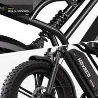 20inch EU Fat Tire Bike Electric Off-Road Fat Tire E-Bike with Best Price and Seater 48v Battery Steel Frame 250W