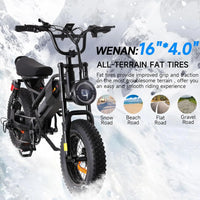 HKM-775379 Adult: 750W Motor, 20 MPH Top Speed, 48V System and 48V 15.0Ah Battery Electric Bicycle for Daily Commuting