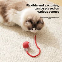 HKM-669331 Automatic Eco-Friendly Cat Toy Ball for Self-Entertainment and Exercise