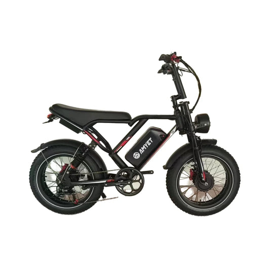 US Warehouse Free Shipping Factory Direct Sales From Electric Mountain Bike Bici Elettrica 48V25Ah 2000W 20inch Electric Bike