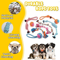 HKM-339347 Durable 18-Pack Teeth Cleaning Interactive Chew Dog Toys Set