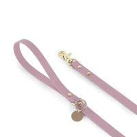 HKM-634259 Durable Multi-Colour Waterproof PVC Coated Webbing Dog Leash Set with Zinc Alloy Buckle