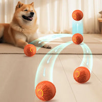 HKM-273811 Interactive Rubber Dog Toy Ball for Engaging Outdoor Play