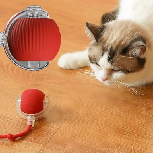 HKM-522451 Vibrant Silicone Cat Toy with Feather Teaser, Long Tail and Rolling Claw Ball for Kittens