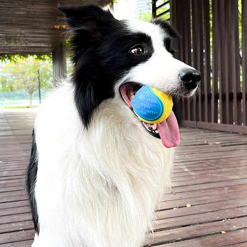 HKM-126931 Interactive 6.5 cm TPR Dog Chew Toy with Squeaker - Strong Splice Contrast Colour Ball